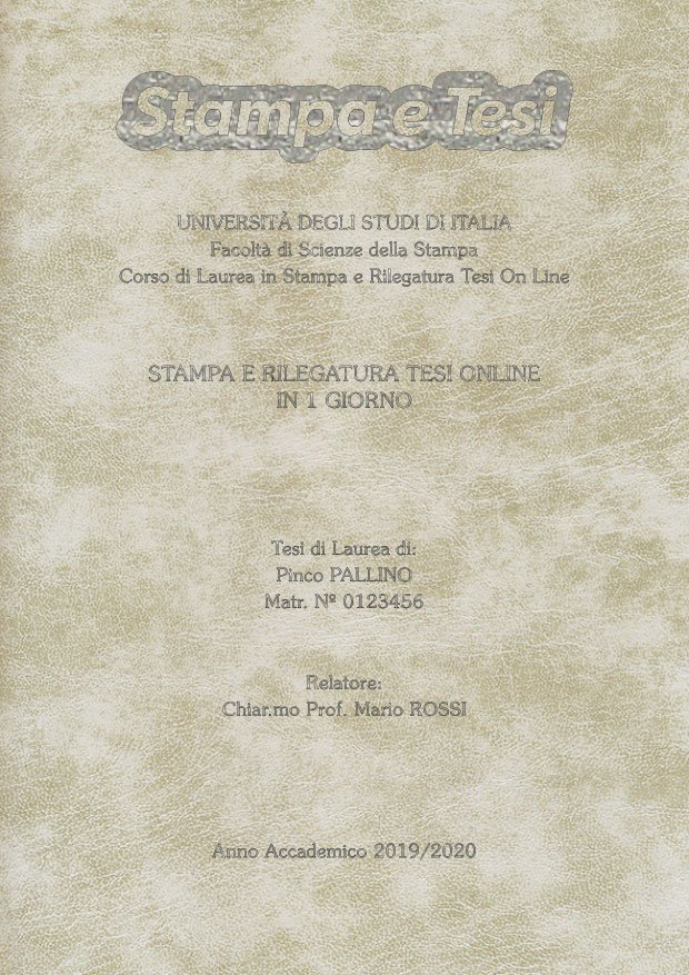 Similpelle Venata Bianco Argento LAYOUT 4 - Logo in Alto - Souvenir 