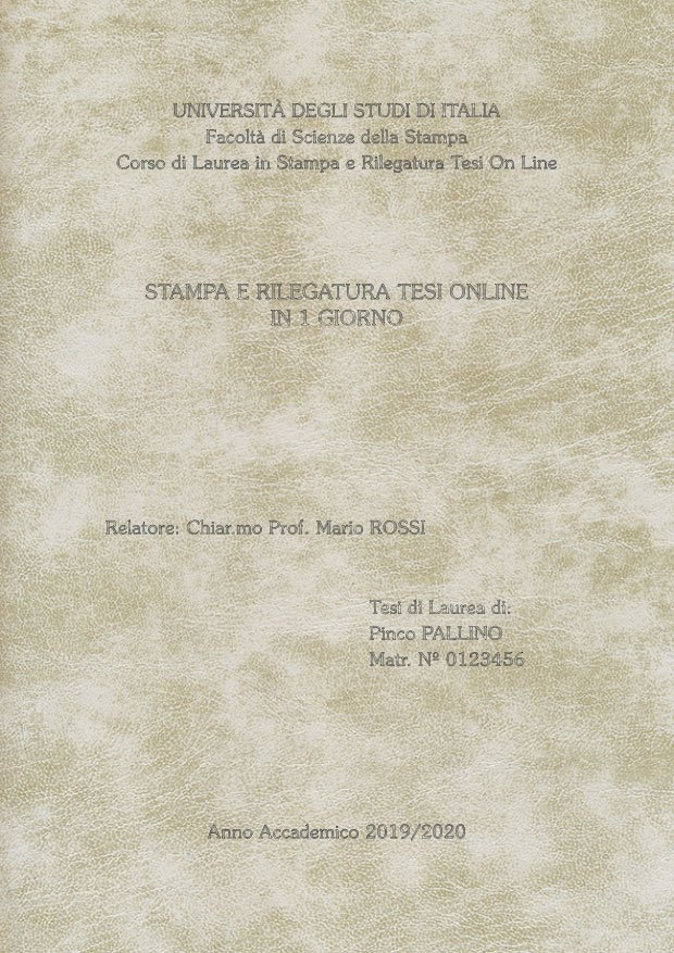 Similpelle Venata Bianco Argento LAYOUT 2 - Senza Logo - Souvenir