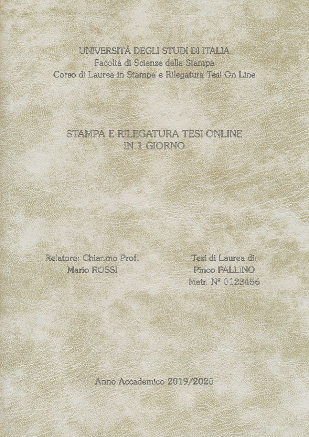 Similpelle Venata Bianco Argento LAYOUT 3 - Senza Logo - Souvenir 