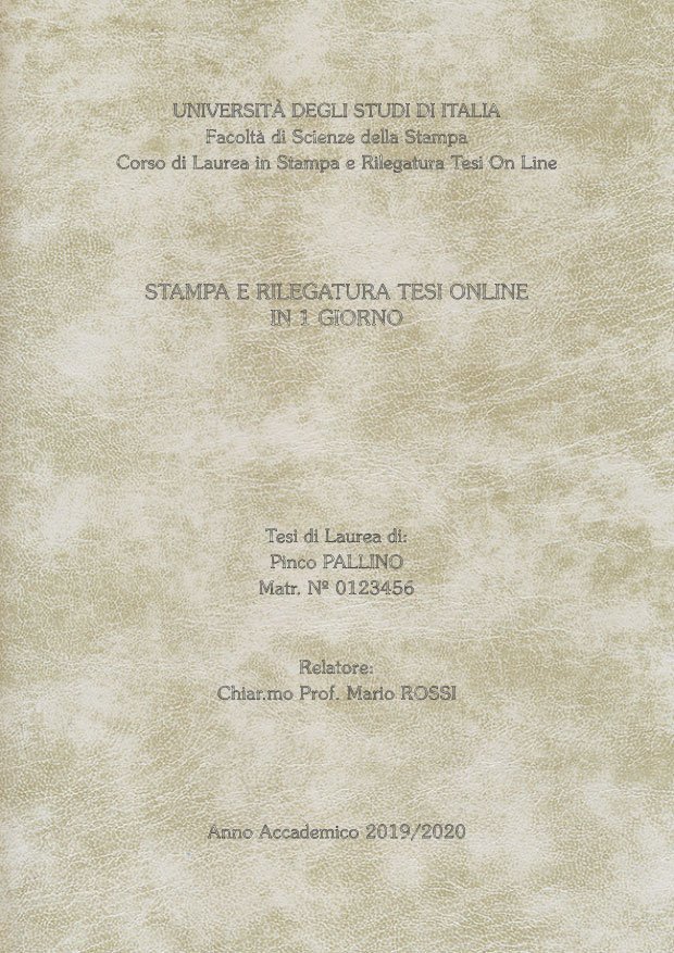 Similpelle Venata Bianco Argento LAYOUT 4 - Senza Logo - Souvenir 