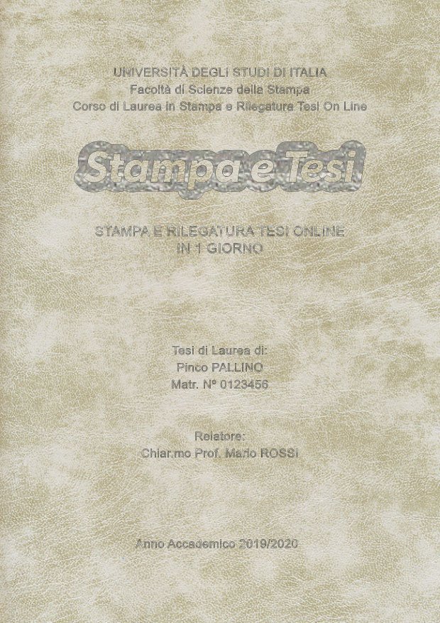 Similpelle Venata Bianco Argento LAYOUT 4 - Logo Centrato - Arial