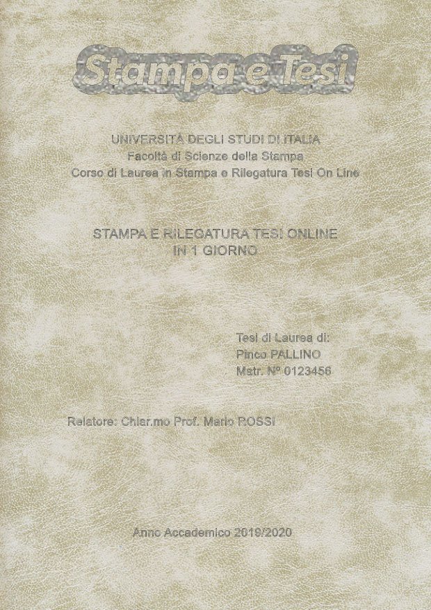 Similpelle Venata Bianco Argento LAYOUT 1 - Logo in Alto - Arial