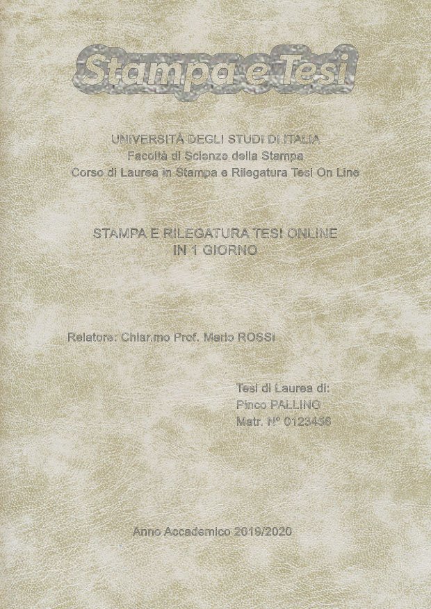 Similpelle Venata Bianco Argento LAYOUT 2 - Logo in Alto - Arial