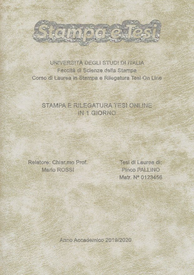 Similpelle Venata Bianco Argento LAYOUT 3 - Logo in Alto - Arial