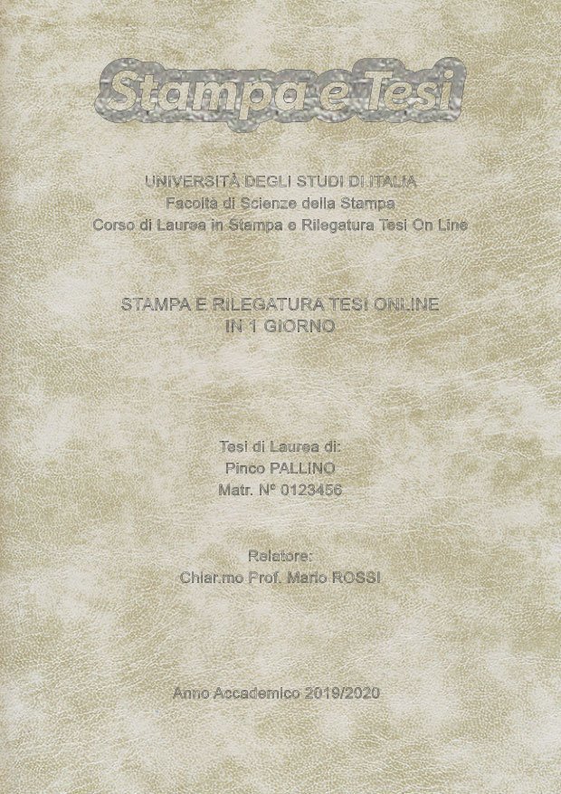 Similpelle Venata Bianco Argento LAYOUT 4 - Logo in Alto - Arial