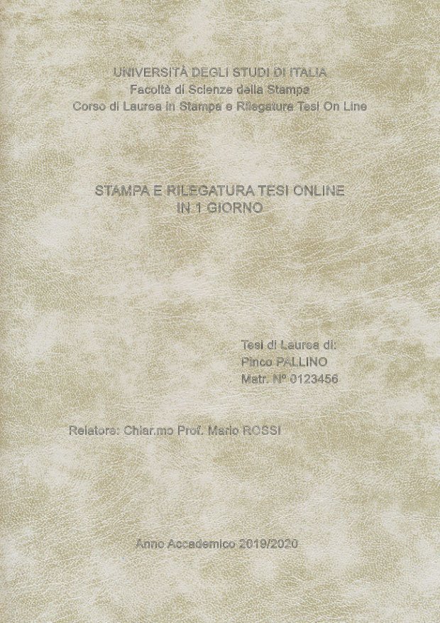 Similpelle Venata Bianco Argento LAYOUT 1 - Senza Logo - Arial