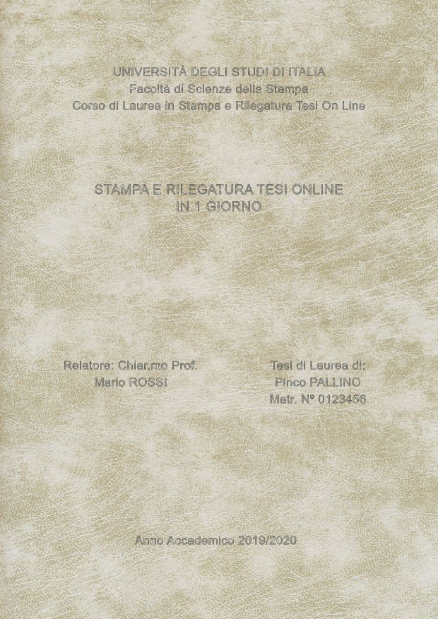 Similpelle Venata Bianco Argento LAYOUT 3 - Senza Logo - Arial