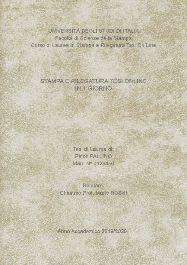 Similpelle Venata Bianco Argento LAYOUT 4 - Senza Logo - Arial