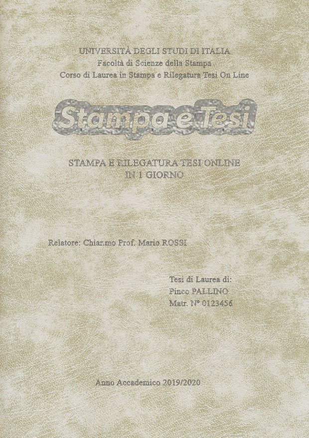 Similpelle Venata Bianco Argento LAYOUT 2 - Logo Centrato - Times New Roman