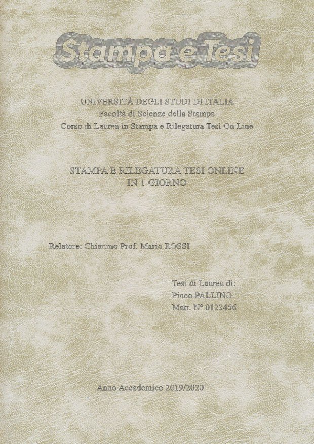 Similpelle Venata Bianco Argento LAYOUT 2 - Logo in Alto - Times New Roman