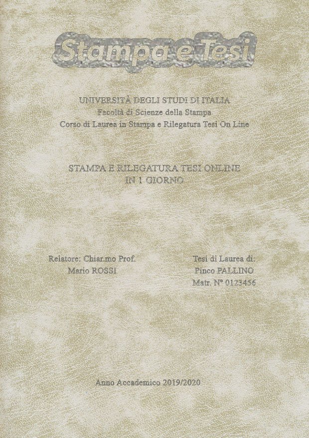 Similpelle Venata Bianco Argento LAYOUT 3 - Logo in Alto - Times New Roman