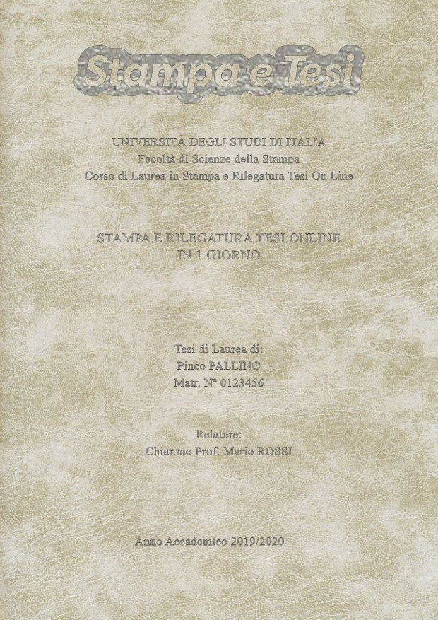 Similpelle Venata Bianco Argento LAYOUT 4 - Logo in Alto - Times New Roman