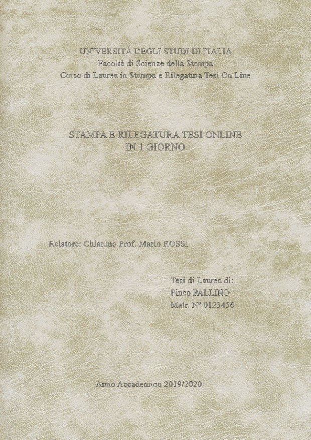 Similpelle Venata Bianco Argento LAYOUT 2 - Senza Logo - Times New Roman