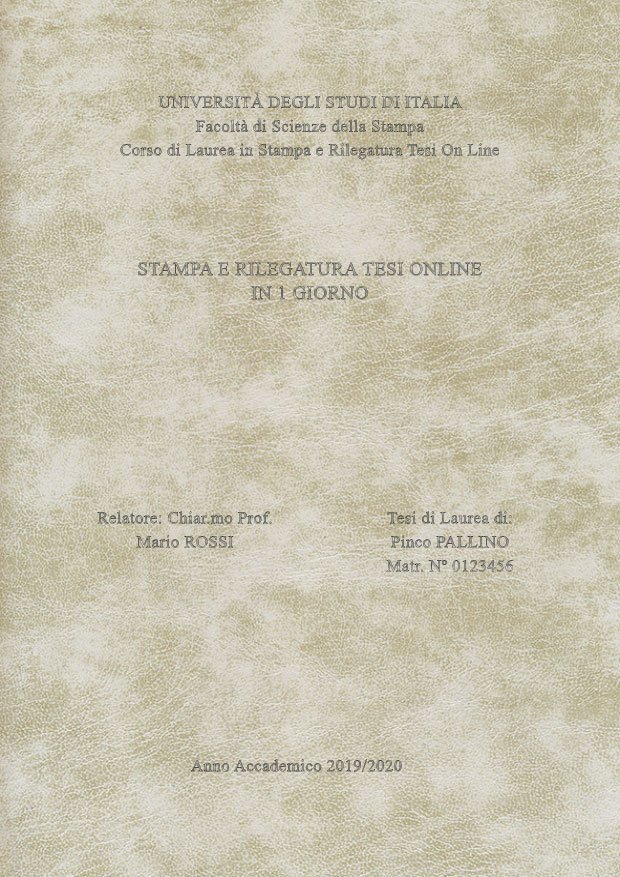 Similpelle Venata Bianco Argento LAYOUT 3 - Senza Logo - Times New Roman