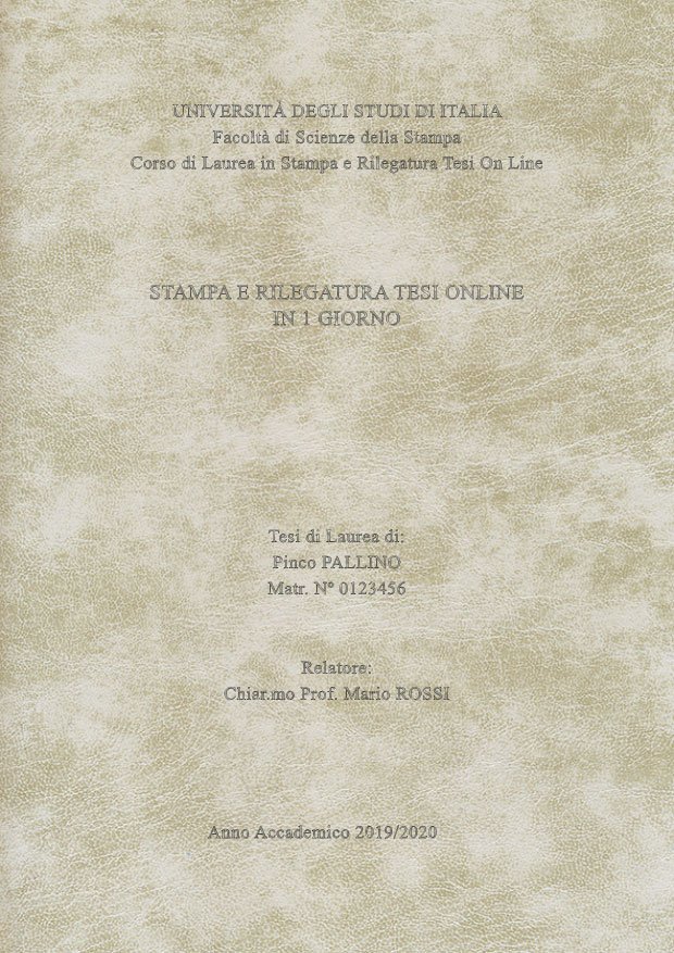 Similpelle Venata Bianco Argento LAYOUT 4 - Senza Logo - Times New Roman