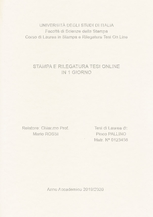 Similpelle Bianco Argento LAYOUT 3 - Senza Logo - Arial