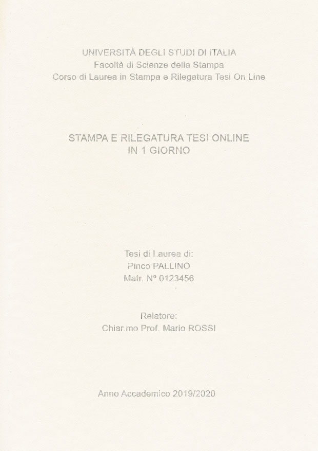 Similpelle Bianco Argento LAYOUT 4 - Senza Logo - Arial