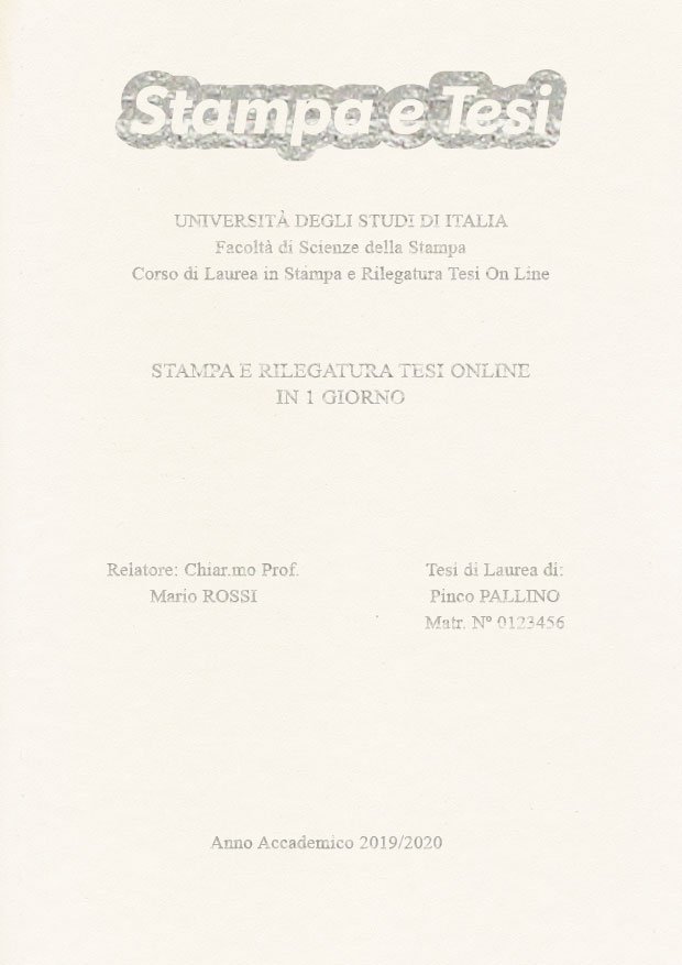 Similpelle Bianco Argento LAYOUT 3 - Logo in Alto - Times New Roman