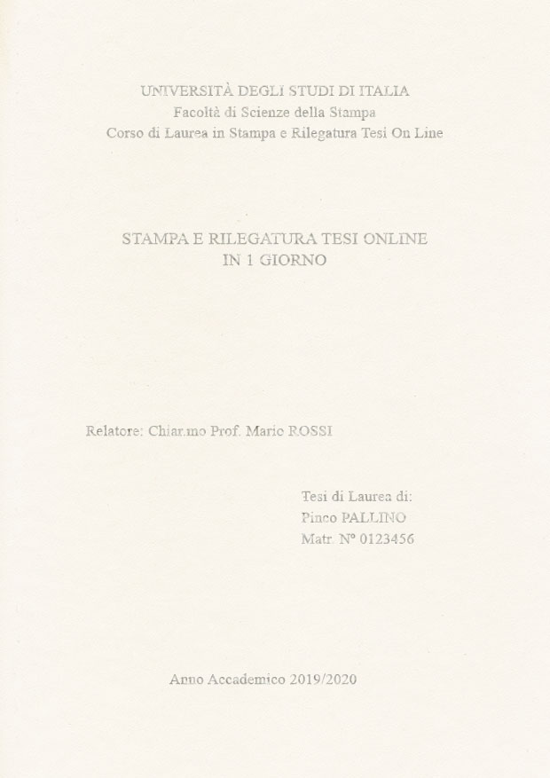 Similpelle Bianco Argento LAYOUT 2 - Senza Logo - Times New Roman