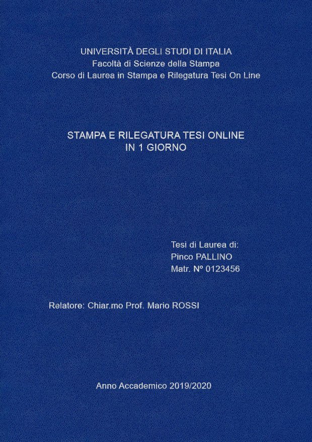 Similpelle Blu Chiaro Argento LAYOUT 1 - Senza Logo - Arial