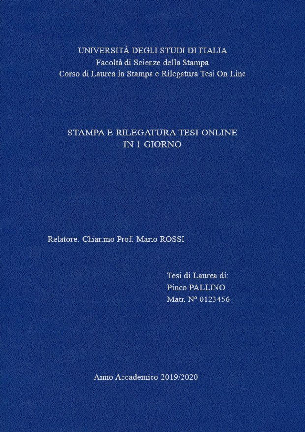 Similpelle Blu Chiaro Argento LAYOUT 2 - Senza Logo - Times New Roman