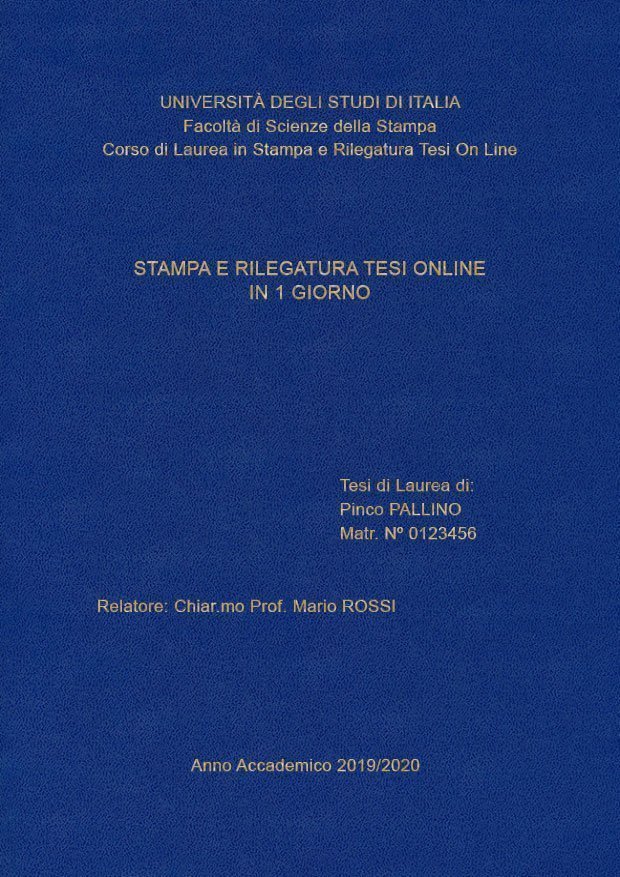 Similpelle Blu Chiaro Oro LAYOUT 1 - Senza Logo - Arial