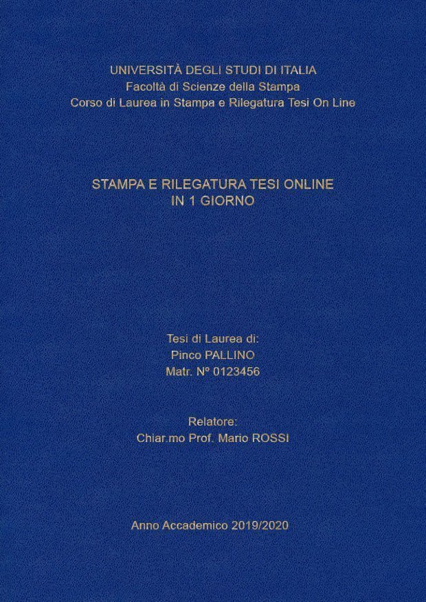 Similpelle Blu Chiaro Oro LAYOUT 4 - Senza Logo - Arial