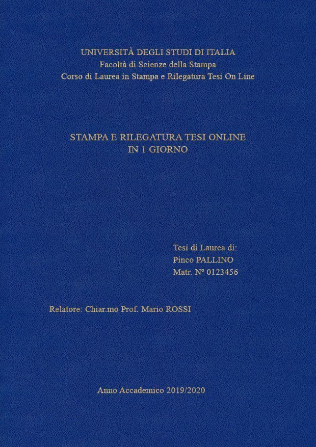 Similpelle Blu Chiaro Oro LAYOUT 1 - Senza Logo - Times New Roman