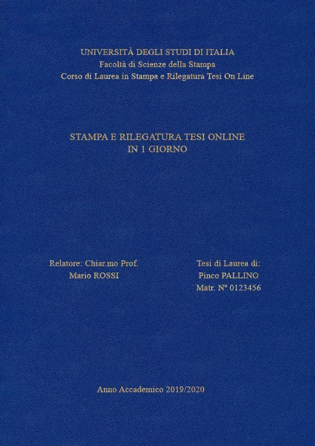 Similpelle Blu Chiaro Oro LAYOUT 3 - Senza Logo - Times New Roman