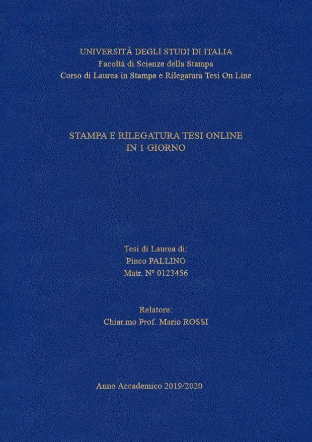 Similpelle Blu Chiaro Oro LAYOUT 4 - Senza Logo - Times New Roman