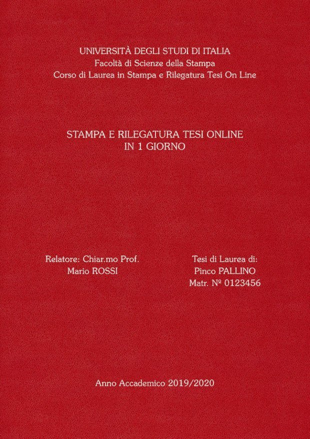 Similpelle Bordeaux Argento LAYOUT 3 - Senza Logo - Souvenir 