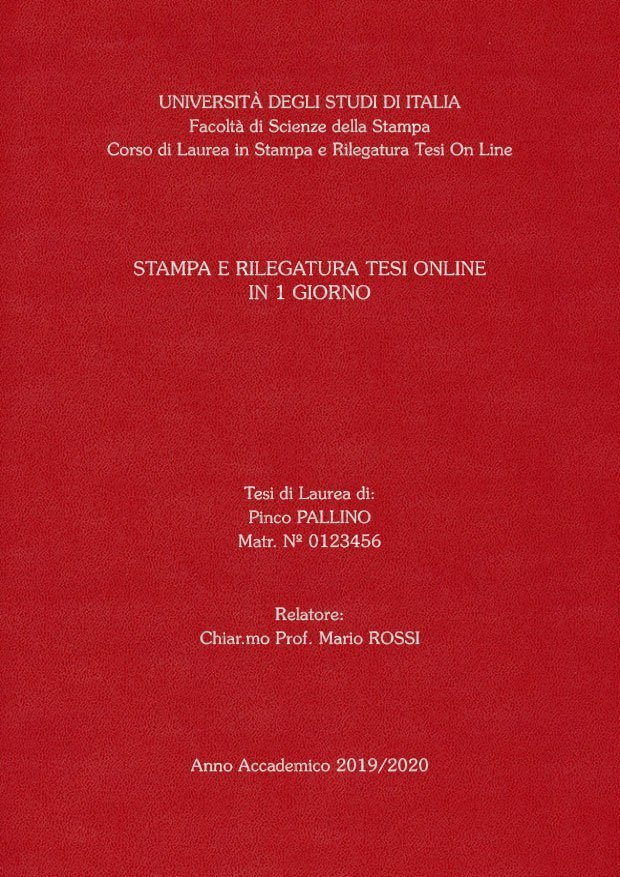 Similpelle Bordeaux Argento LAYOUT 4 - Senza Logo - Souvenir 