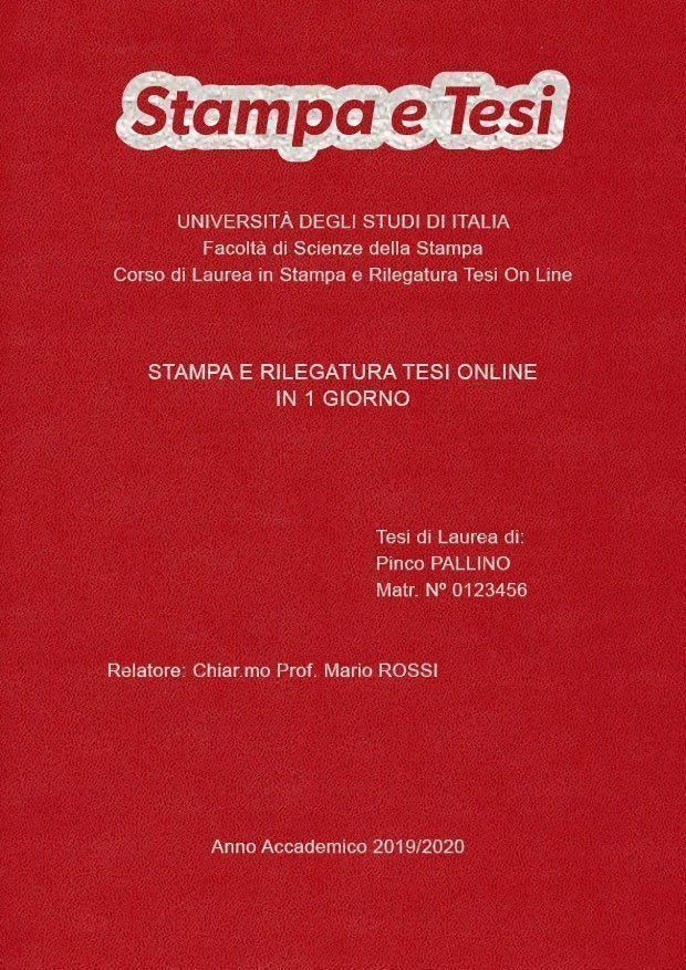 Similpelle Bordeaux Argento LAYOUT 1 - Logo in Alto - Arial