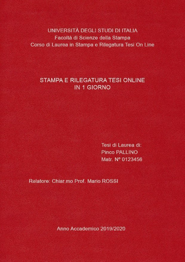 Similpelle Bordeaux Argento LAYOUT 1 - Senza Logo - Arial