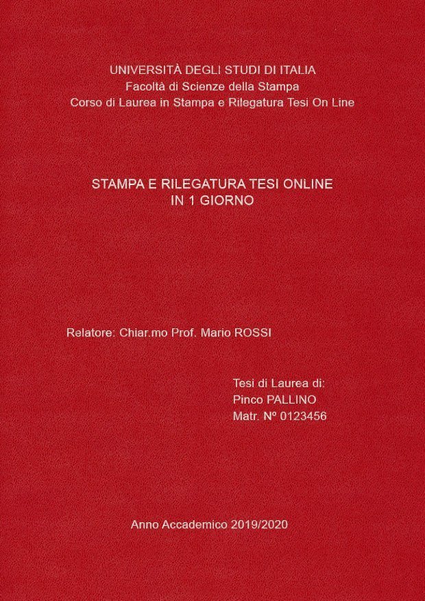 Similpelle Bordeaux Argento LAYOUT 2 - Senza Logo - Arial