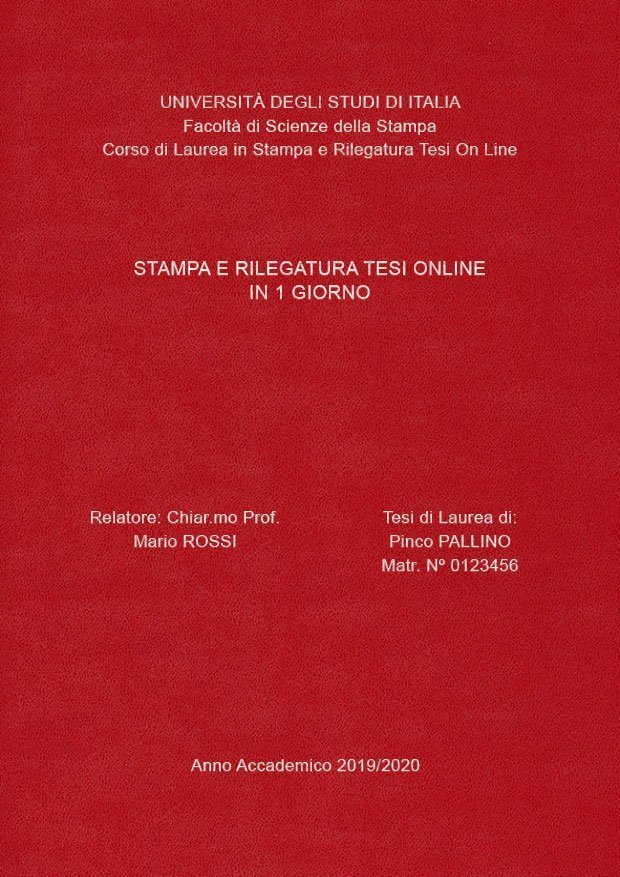 Similpelle Bordeaux Argento LAYOUT 3 - Senza Logo - Arial