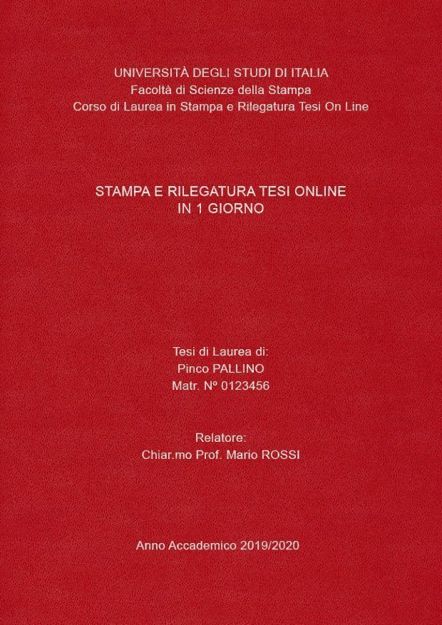 Similpelle Bordeaux Argento LAYOUT 4 - Senza Logo - Arial