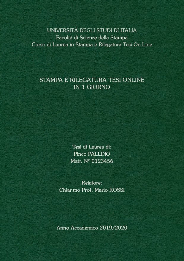 Similpelle Verde Argento LAYOUT 4 - Senza Logo - Souvenir 