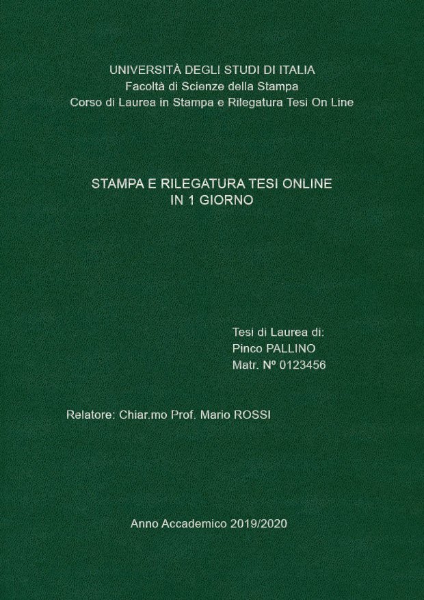 Similpelle Verde Argento LAYOUT 1 - Senza Logo - Arial