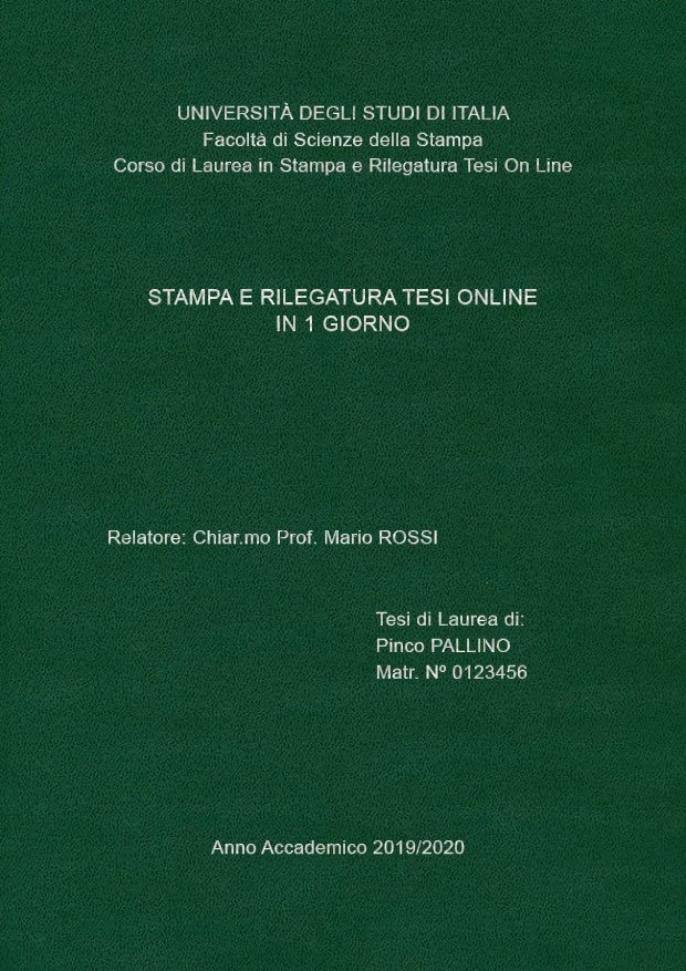 Similpelle Verde Argento LAYOUT 2 - Senza Logo - Arial