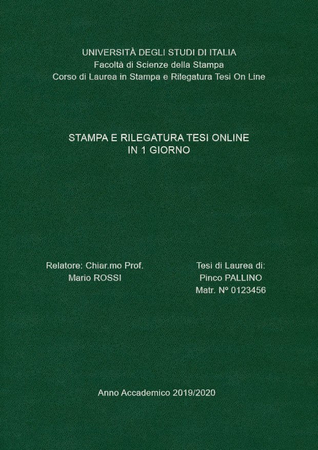 Similpelle Verde Argento LAYOUT 3 - Senza Logo - Arial