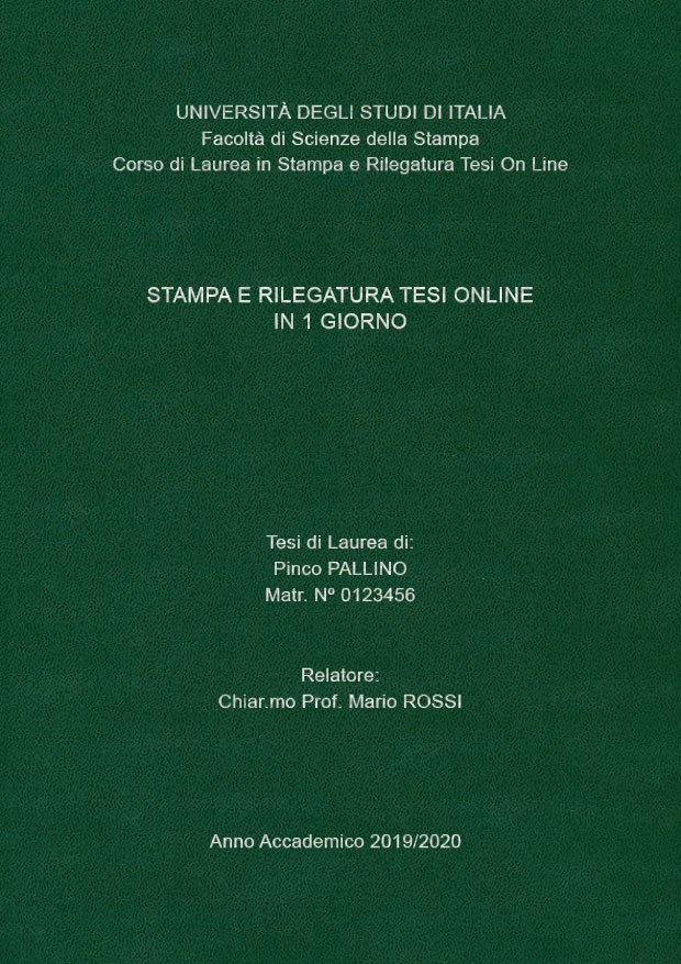 Similpelle Verde Argento LAYOUT 4 - Senza Logo - Arial