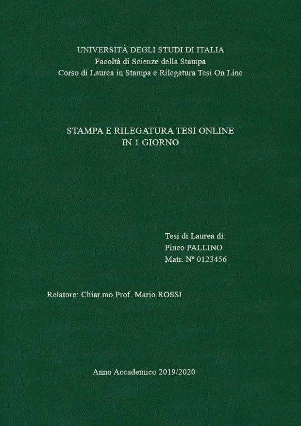 Similpelle Verde Argento LAYOUT 1 - Senza Logo - Times New Roman