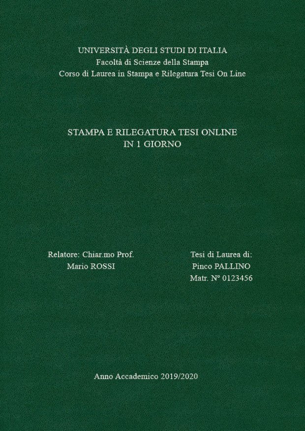 Similpelle Verde Argento LAYOUT 3 - Senza Logo - Times New Roman