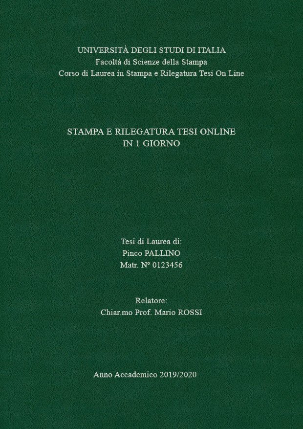 Similpelle Verde Argento LAYOUT 4 - Senza Logo - Times New Roman