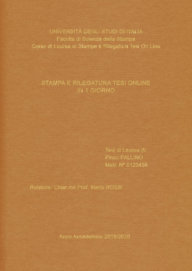 Similtela Beige Oro LAYOUT 1 - Senza Logo - Arial