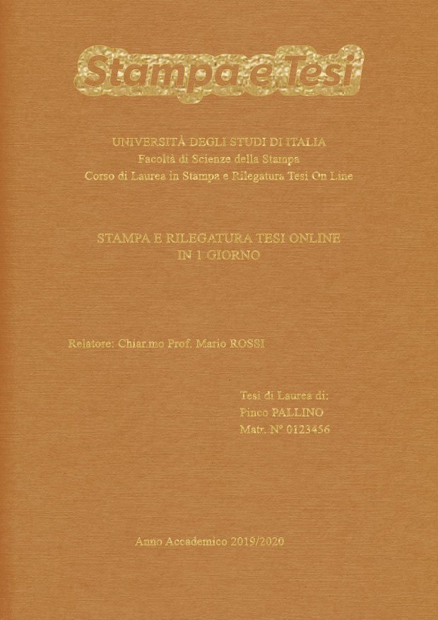 Similtela Beige Oro LAYOUT 2 - Logo in Alto - Times New Roman