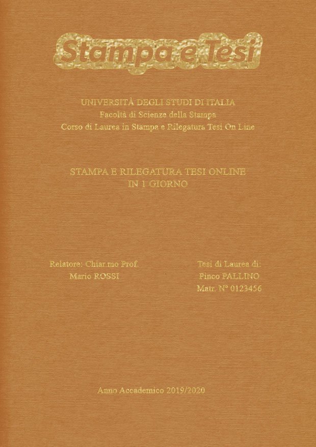 Similtela Beige Oro LAYOUT 3 - Logo in Alto - Times New Roman