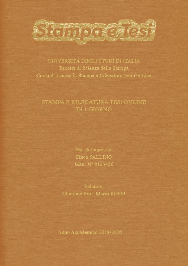 Similtela Beige Oro LAYOUT 4 - Logo in Alto - Times New Roman