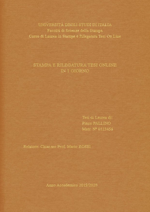 Similtela Beige Oro LAYOUT 1 - Senza Logo - Times New Roman